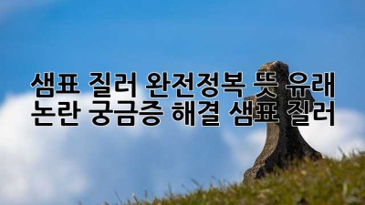 샘표 질러 완전정복😎 뜻? 유래? 논란? 궁금증 해결! #샘표 #질러